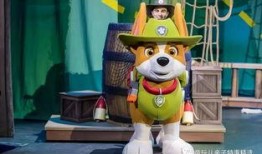 小汪汪吃瓜娱乐说,揭秘娱乐圈幕后故事